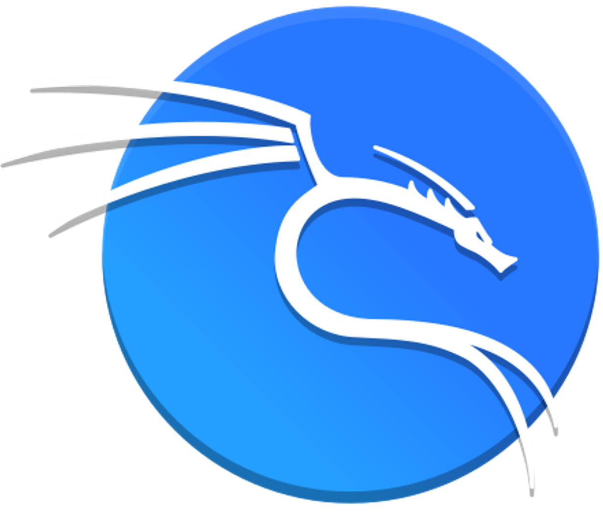 Kali Linux