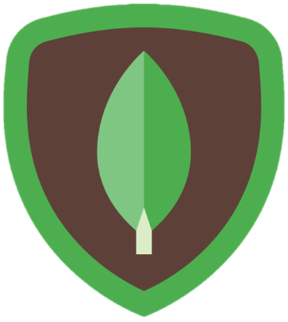MongoDB